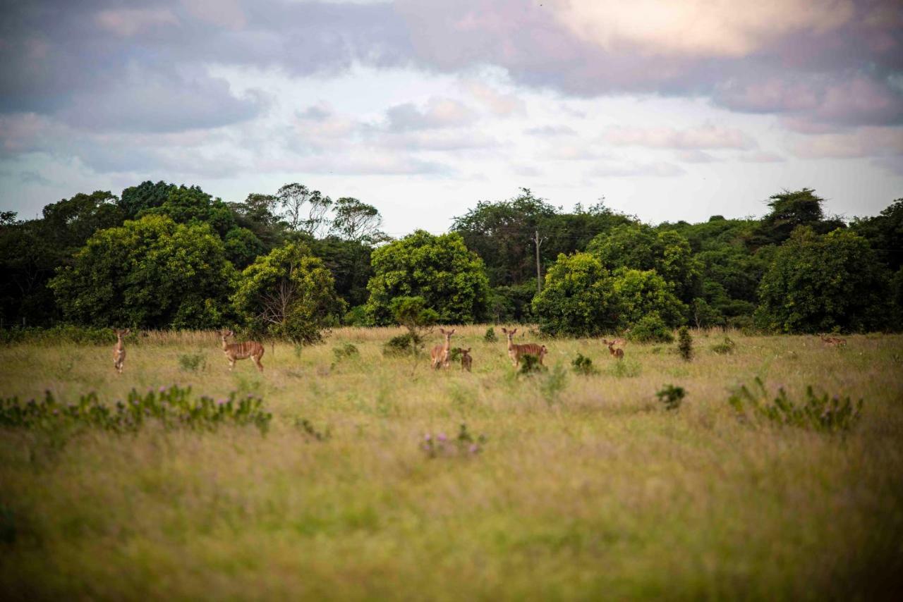 Gooderson Bushlands Game Lodge Hluhluwe Exteriér fotografie